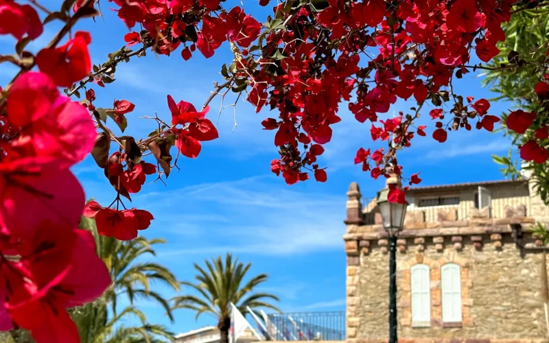 Village Le Lavandou